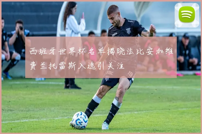 西班牙世界杯名单揭晓法比安加维费兰托雷斯入选引关注